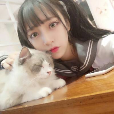 洪兴崛起bt公益服下载